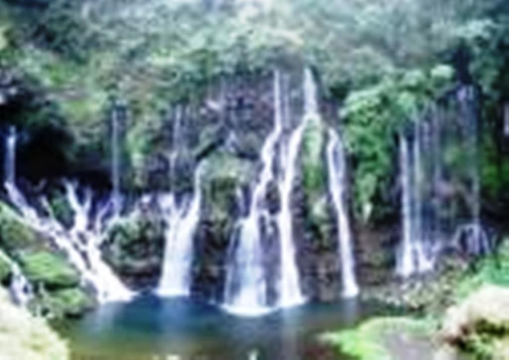 Braslontan Villa Le Tampon Esterno foto