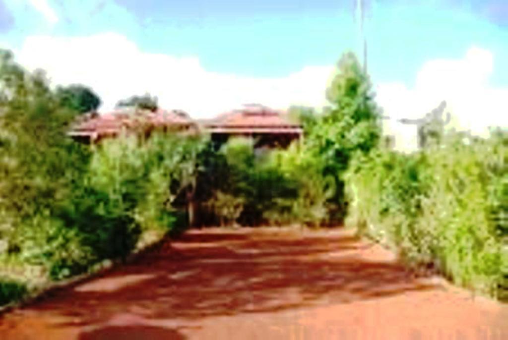 Braslontan Villa Le Tampon Esterno foto